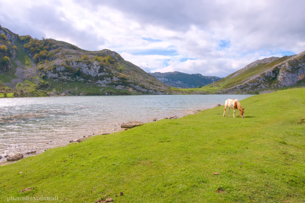 A brown and white horse grazing on a green grass shore next to a calm mountain lake under a cloudy sky.Un caballo marrón y blanco pastando en una orilla de hierba verde junto a un lago de montaña bajo un cielo nublado.