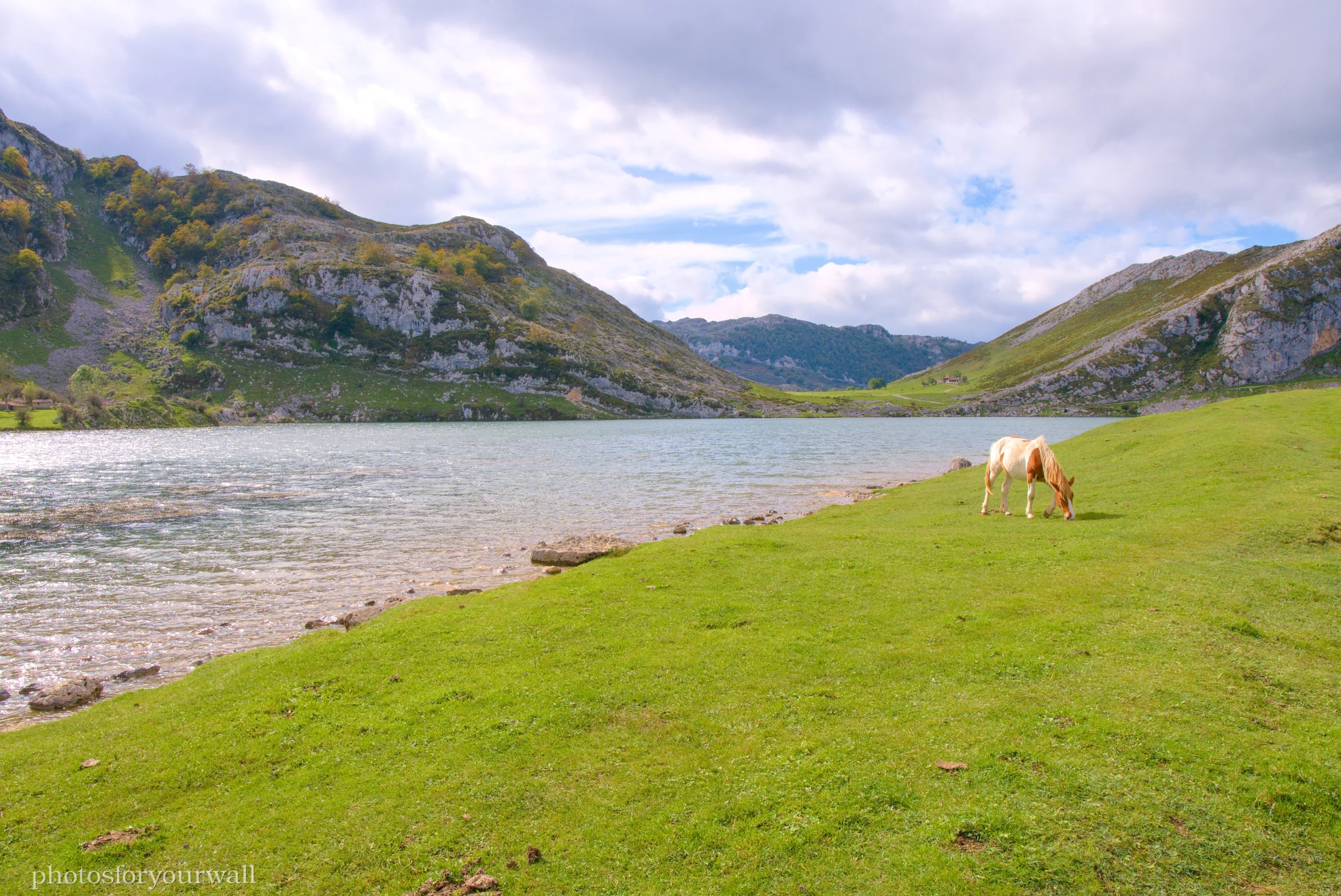 A brown and white horse grazing on a green grass shore next to a calm mountain lake under a cloudy sky.Un caballo marrón y blanco pastando en una orilla de hierba verde junto a un lago de montaña bajo un cielo nublado.