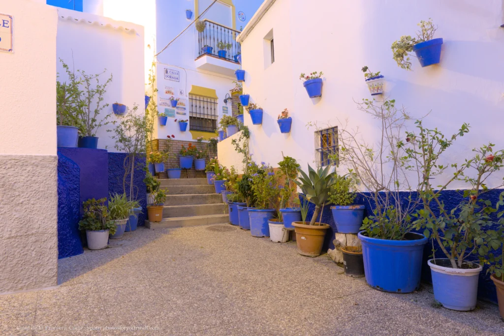 Traditional narrow street in Conil de la Frontera, Spain, featuring white walls adorned with numerous bright blue flower pots and green plants.Calle estrecha tradicional en Conil de la Frontera, España, con paredes blancas decoradas con numerosas macetas de color azul brillante y plantas verdes.
