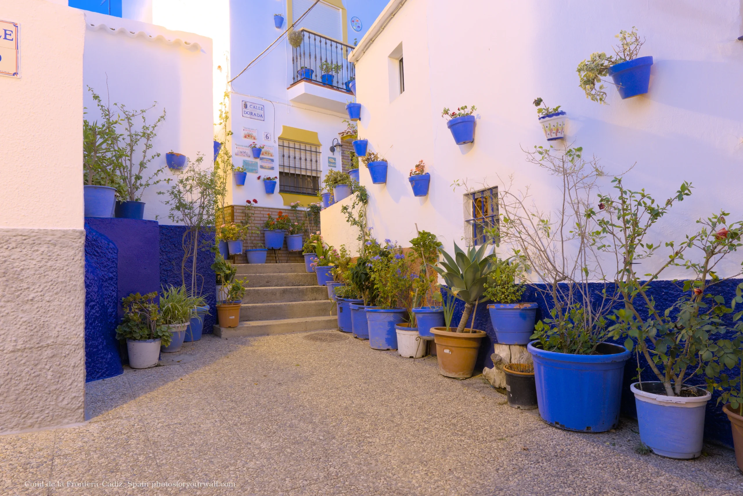 Traditional narrow street in Conil de la Frontera, Spain, featuring white walls adorned with numerous bright blue flower pots and green plants.Calle estrecha tradicional en Conil de la Frontera, España, con paredes blancas decoradas con numerosas macetas de color azul brillante y plantas verdes.