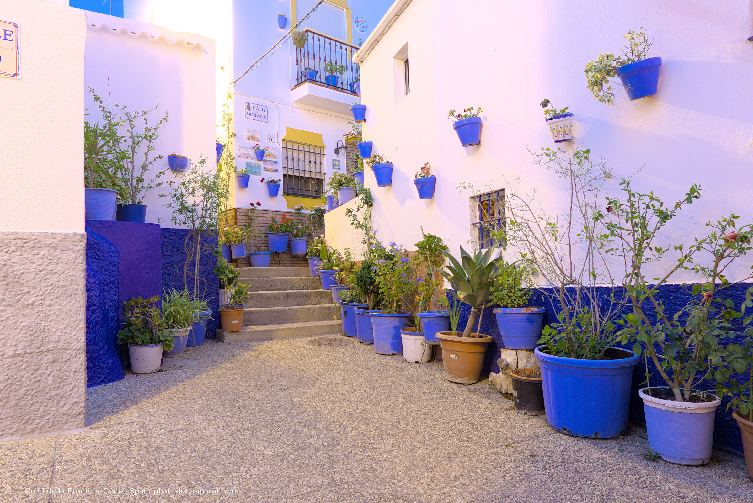 Traditional narrow street in Conil de la Frontera, Spain, featuring white walls adorned with numerous bright blue flower pots and green plants.Calle estrecha tradicional en Conil de la Frontera, España, con paredes blancas decoradas con numerosas macetas de color azul brillante y plantas verdes.