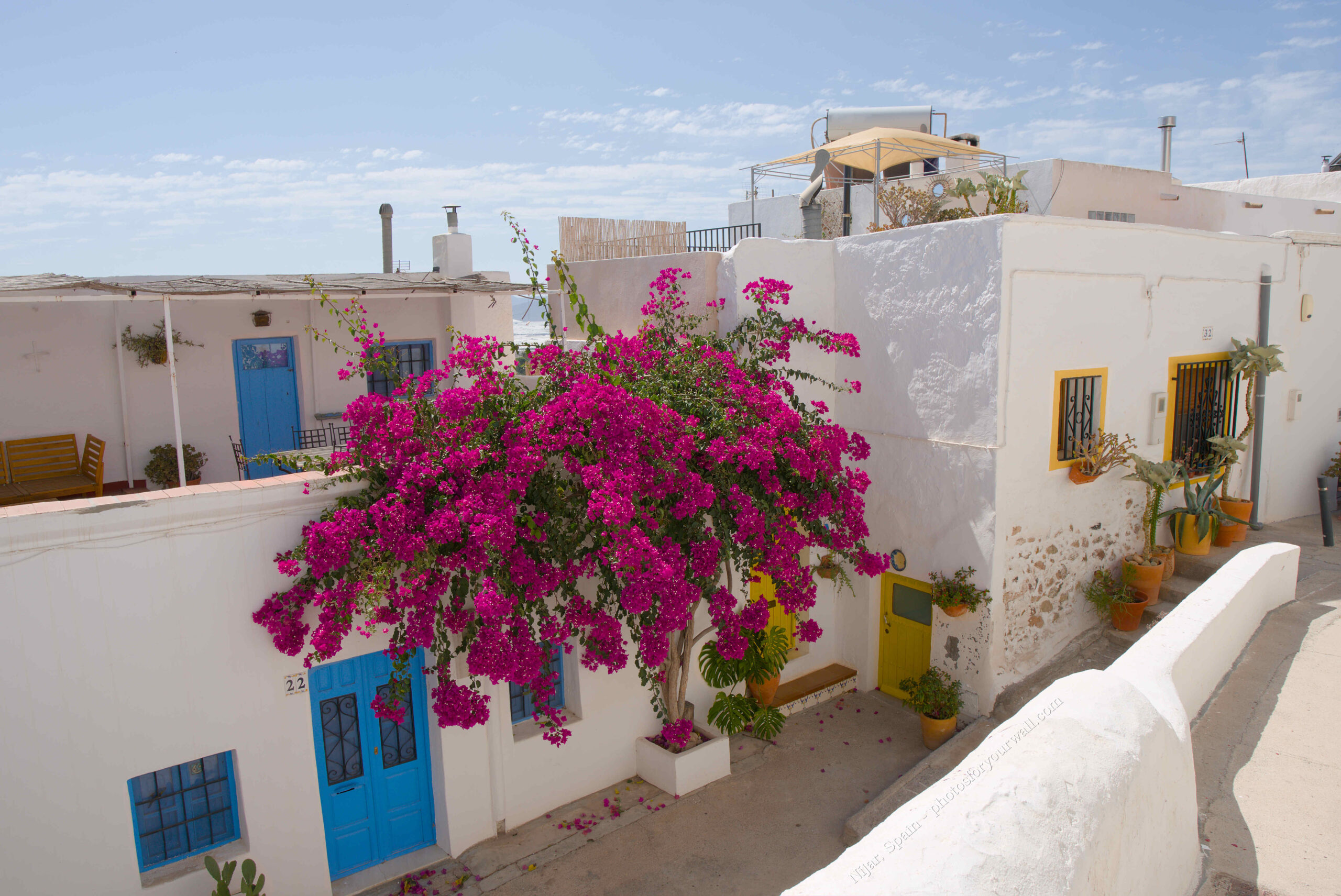 White Mediterranean houses with bright pink bougainvillea flowers cascading over a sunlit street. Casas blancas mediterráneas con bugambilia rosa intensa cayendo sobre una calle soleada.